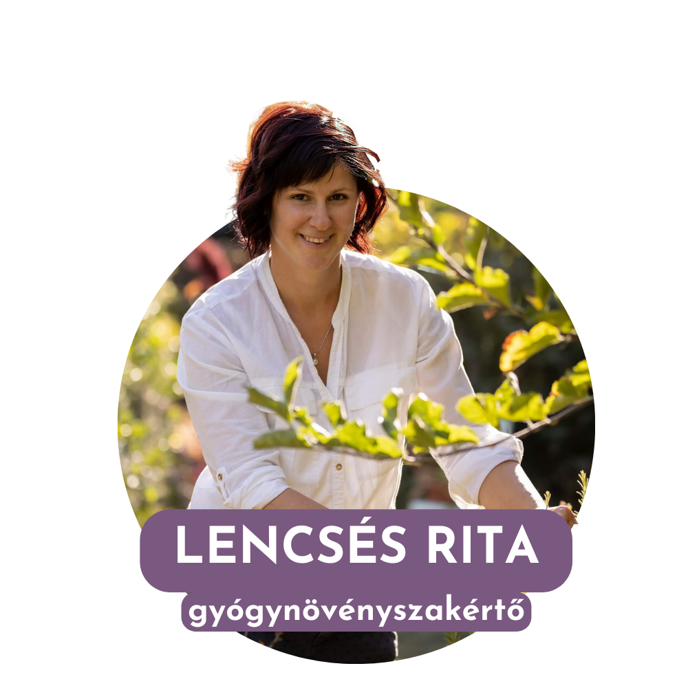 E_lencsésrita