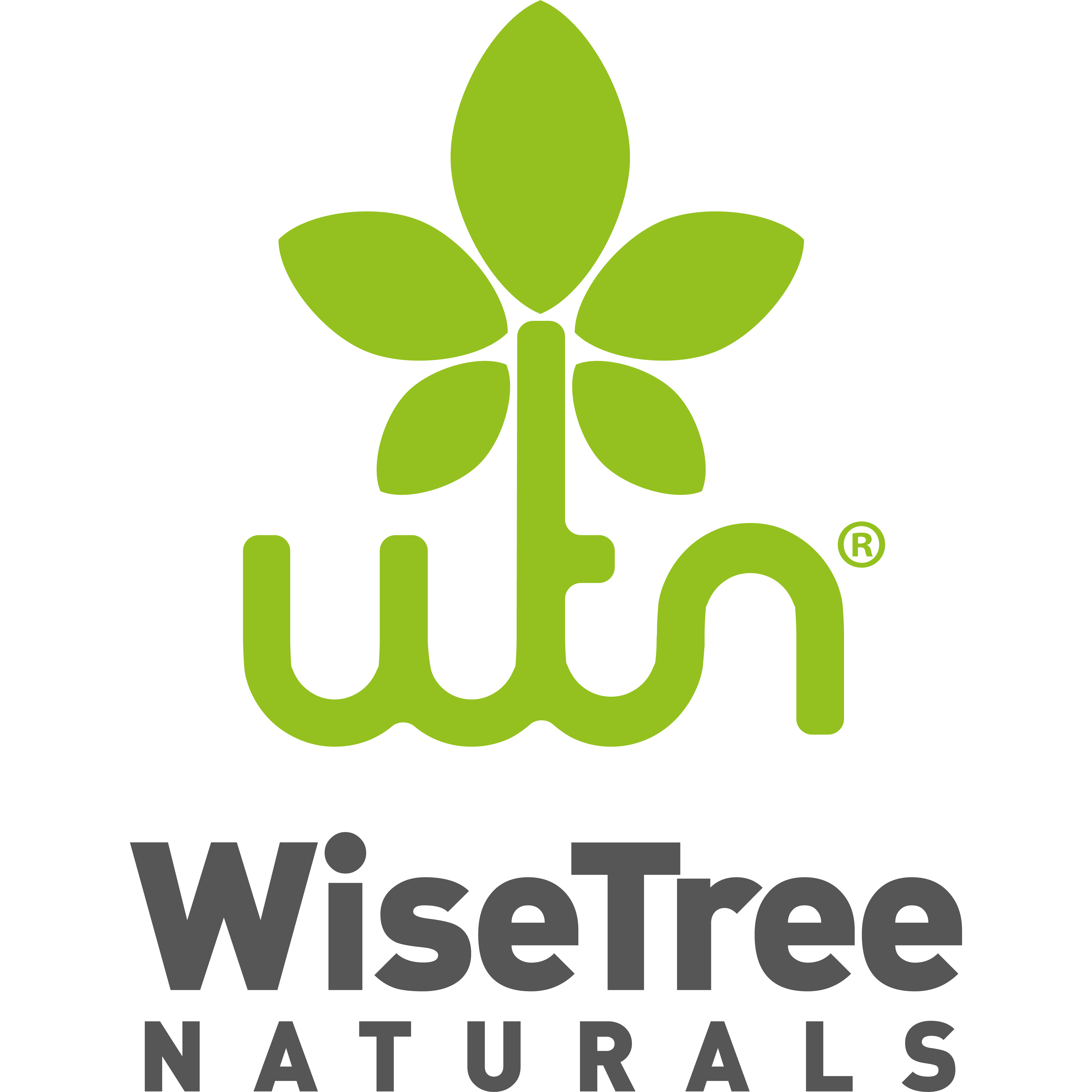 WTN_logo_allo3_1024x1024px - Zsolt Kemenczés