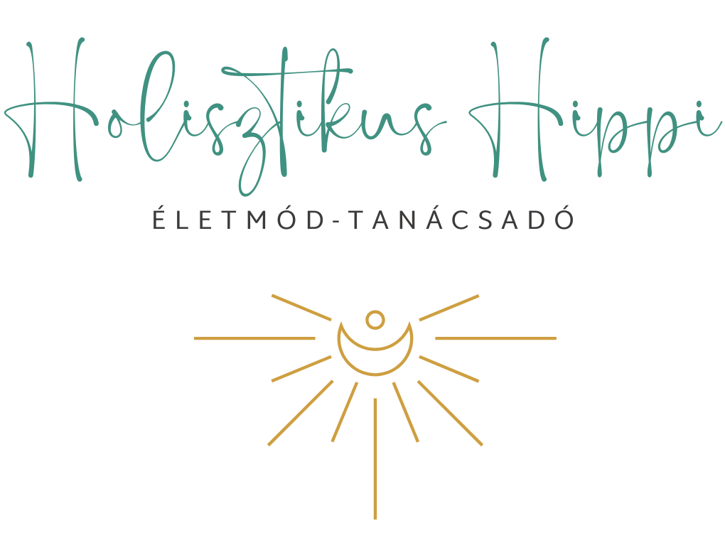 logo-holisztikus-hippi reset npi egészségnap